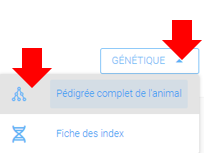mceclip1.png