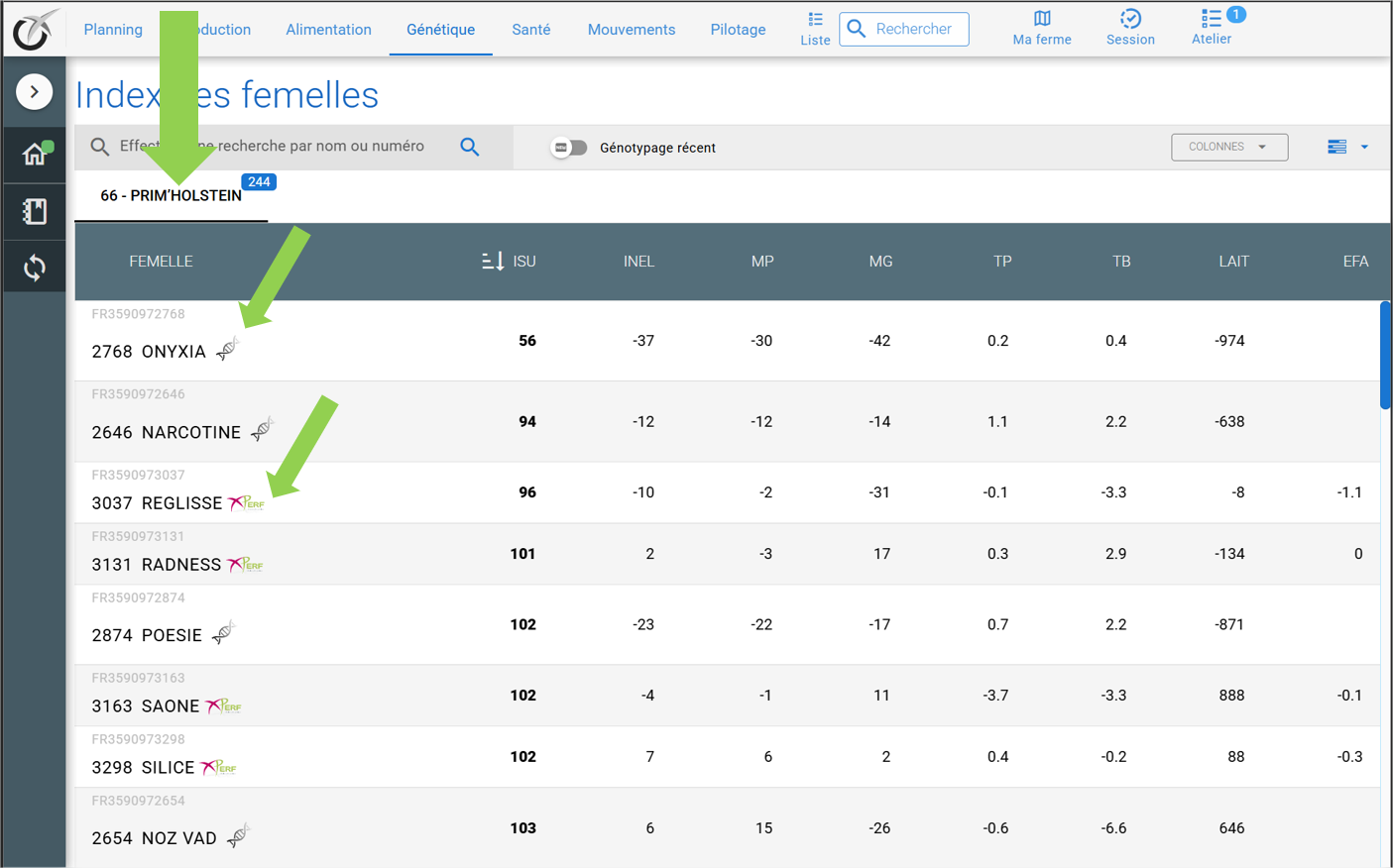 christian-240933.png