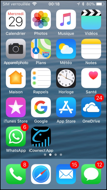 safari-capture-04.png