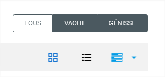 juan-347035.png
