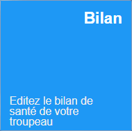 icn-sante-bilan.png
