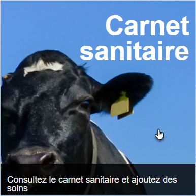 icn-sante-carnet-sanitaire.png